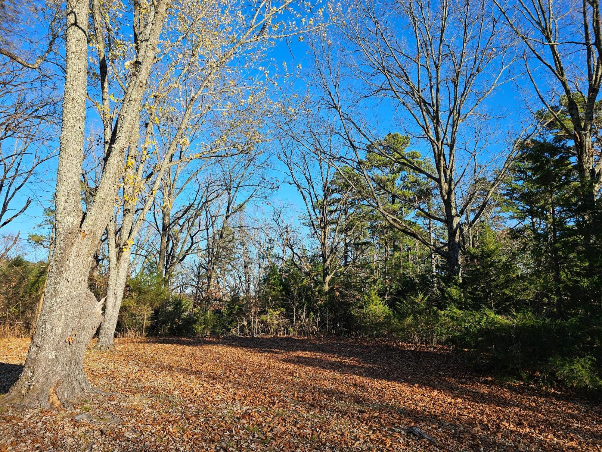 5 Min To Beaver Lake-King Bed-Fire Pit-Jetted Tub #3 Eureka Springs Exterior photo